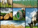 AGROALIMENTAIRE